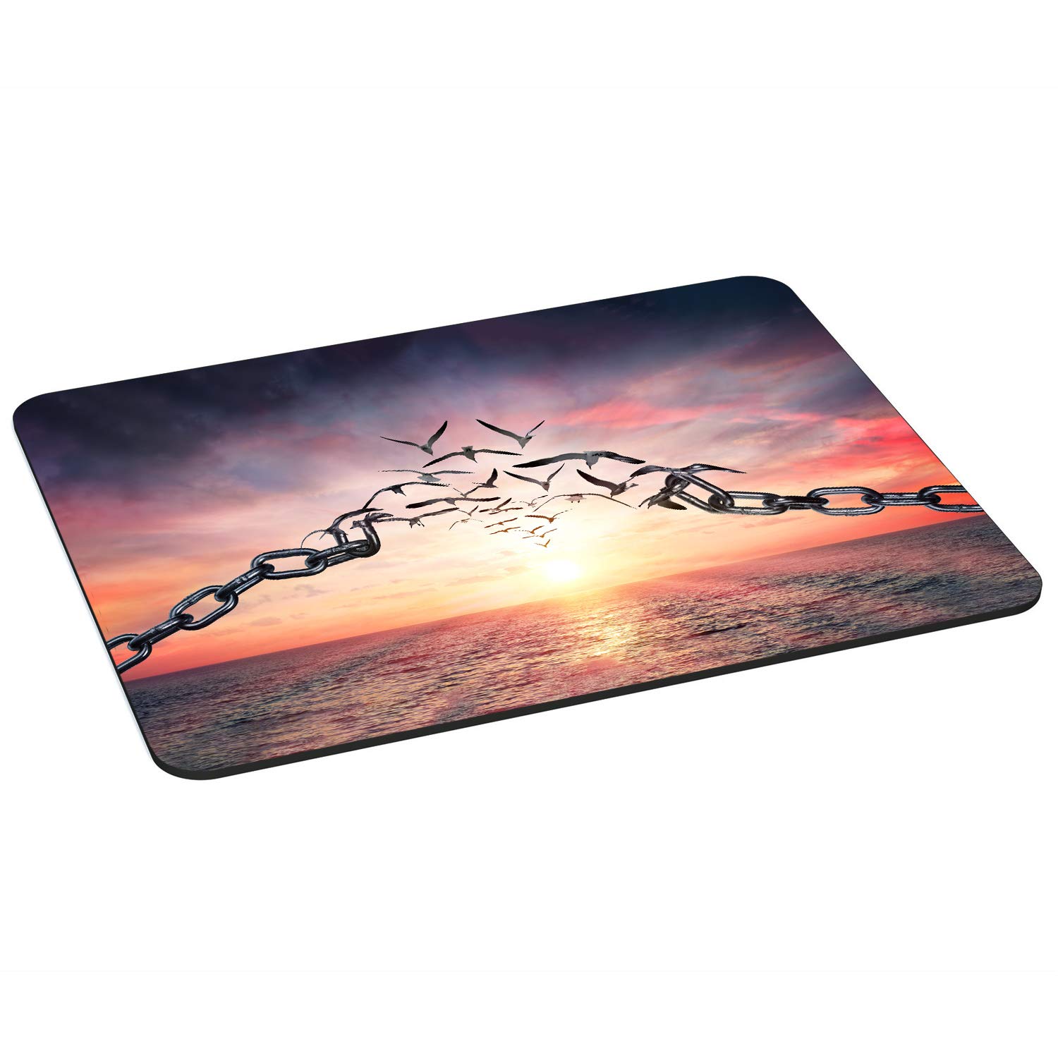Pedea Compass Mauspad 22x18 cm Gaming rutschfest