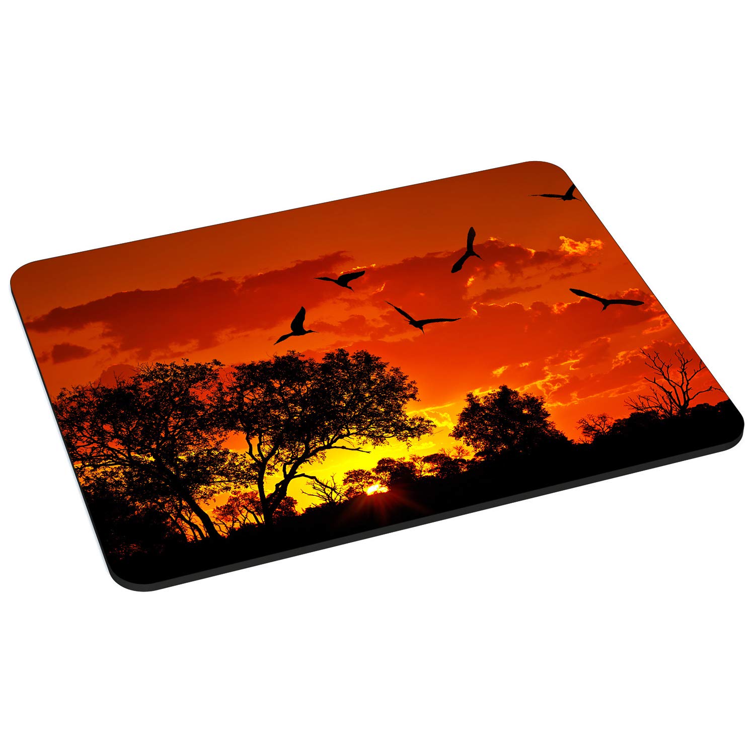 Pedea Compass Mauspad 22x18 cm Gaming rutschfest